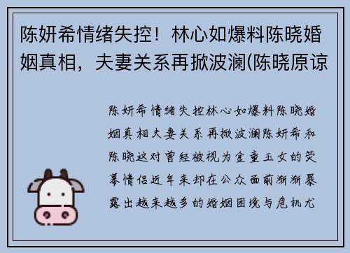陈妍希情绪失控！林心如爆料陈晓婚姻真相，夫妻关系再掀波澜(陈晓原谅陈妍希了)