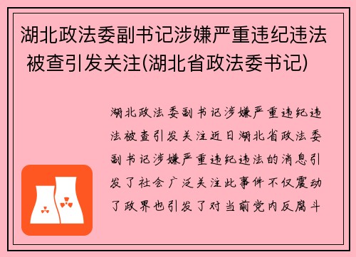 湖北政法委副书记涉嫌严重违纪违法 被查引发关注(湖北省政法委书记)