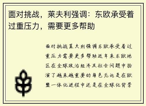 面对挑战，莱夫利强调：东欧承受着过重压力，需要更多帮助